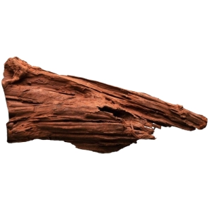 Driftwood | drzewo mangrowca S