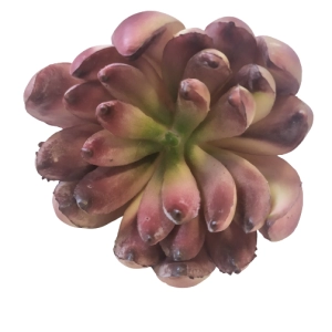 SUKULENT roślina sztuczna do terrarium R14