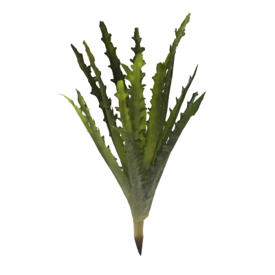Aloe sztuczny Aloes na piku