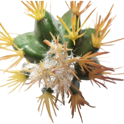 Ferokaktus sztuczny kaktus kulisty Ø8cm